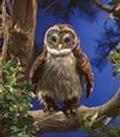 Folkmanis Hooting Owl Puppet