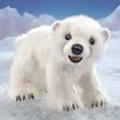 Folkmanis Polar Bear Cub