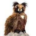 Folkmanis Great Horned Owl